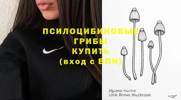 не бодяженный Воткинск
