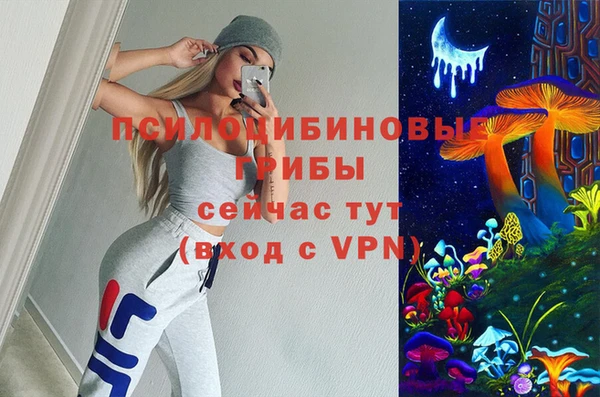 прущая мука Ветлуга