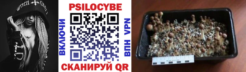Галлюциногенные грибы мицелий  гидра ссылка  Зеленокумск 