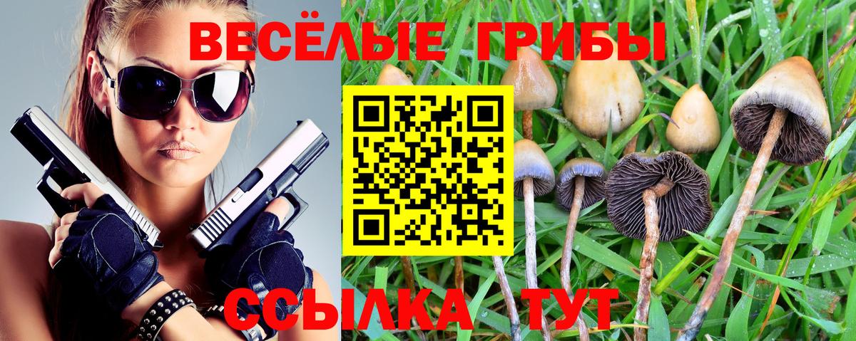 Псилоцибиновые грибы Psilocybe Зеленокумск