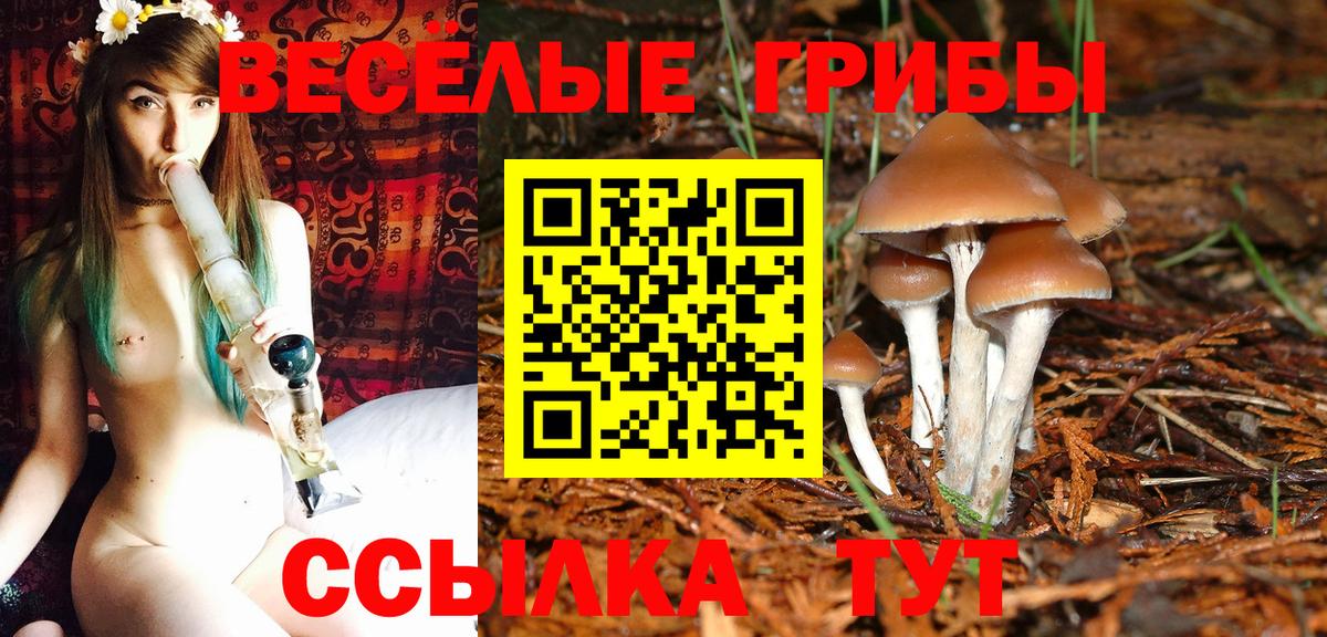 Псилоцибиновые грибы GOLDEN TEACHER  Вход с VPN  Зеленокумск  Псилоцибиновые грибы мицелий 
