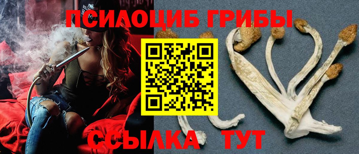 Галлюциногенные грибы ЛСД  Зеленокумск 